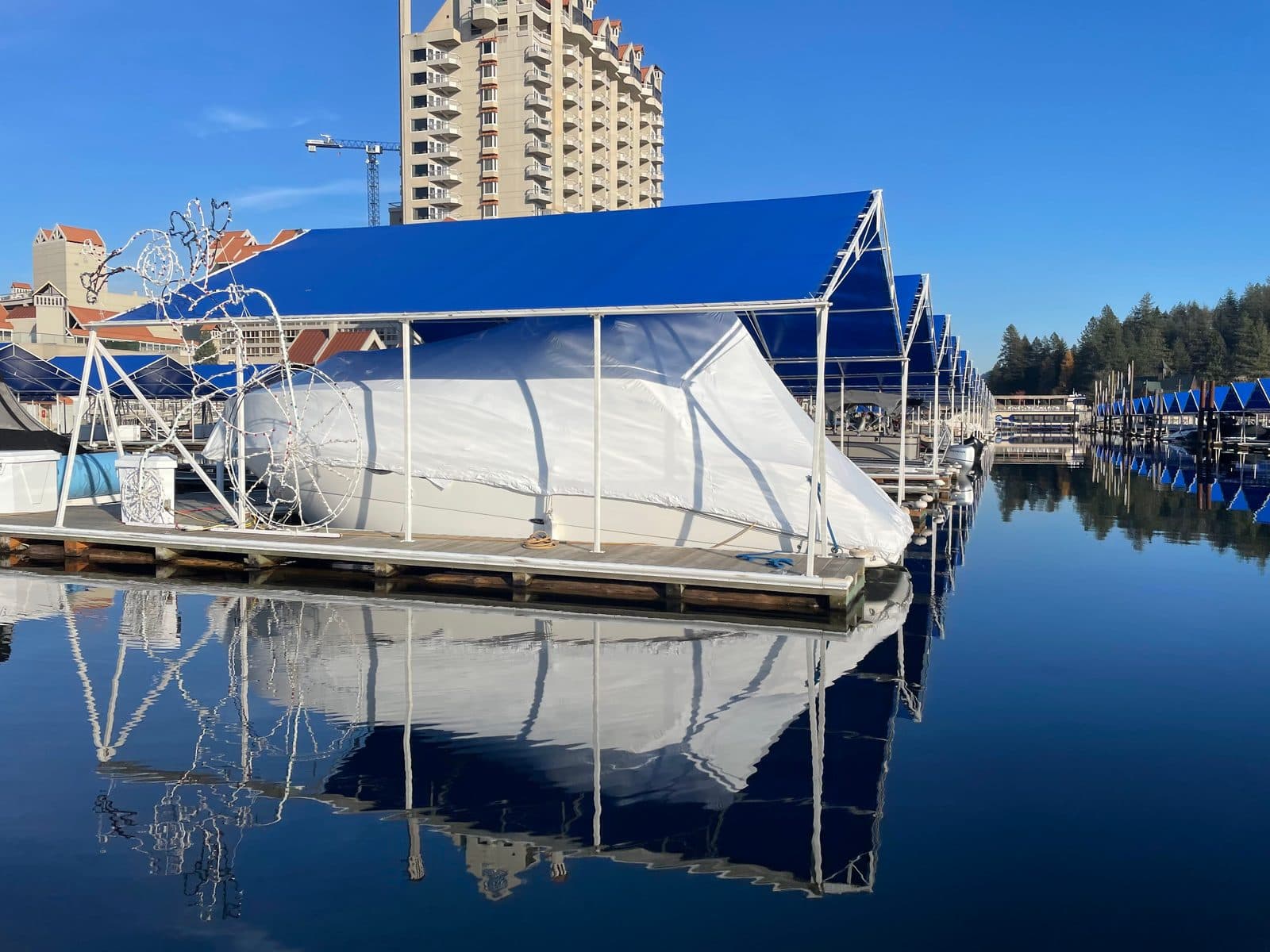 Professional marina service illustration