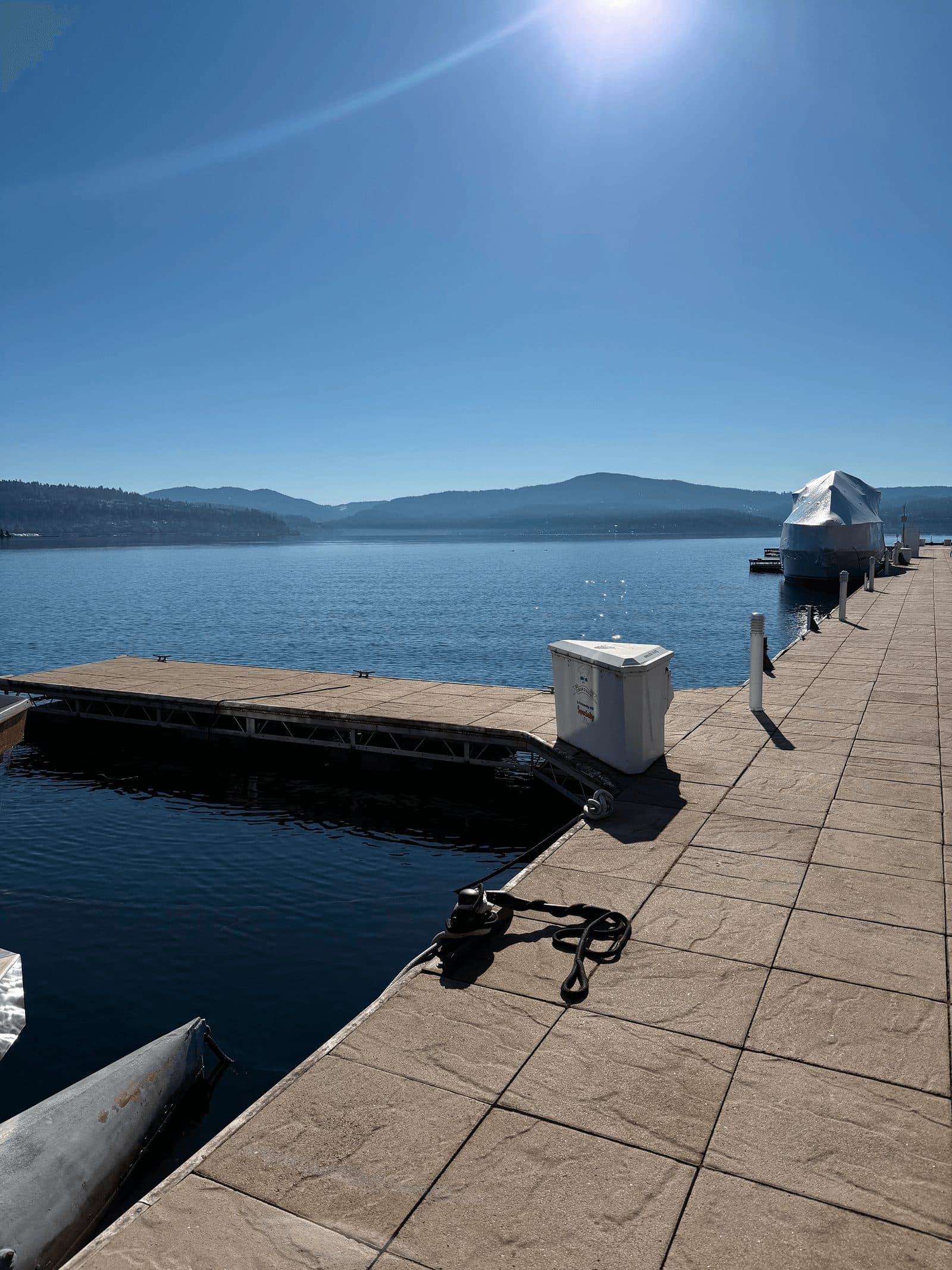 Professional marina service illustration